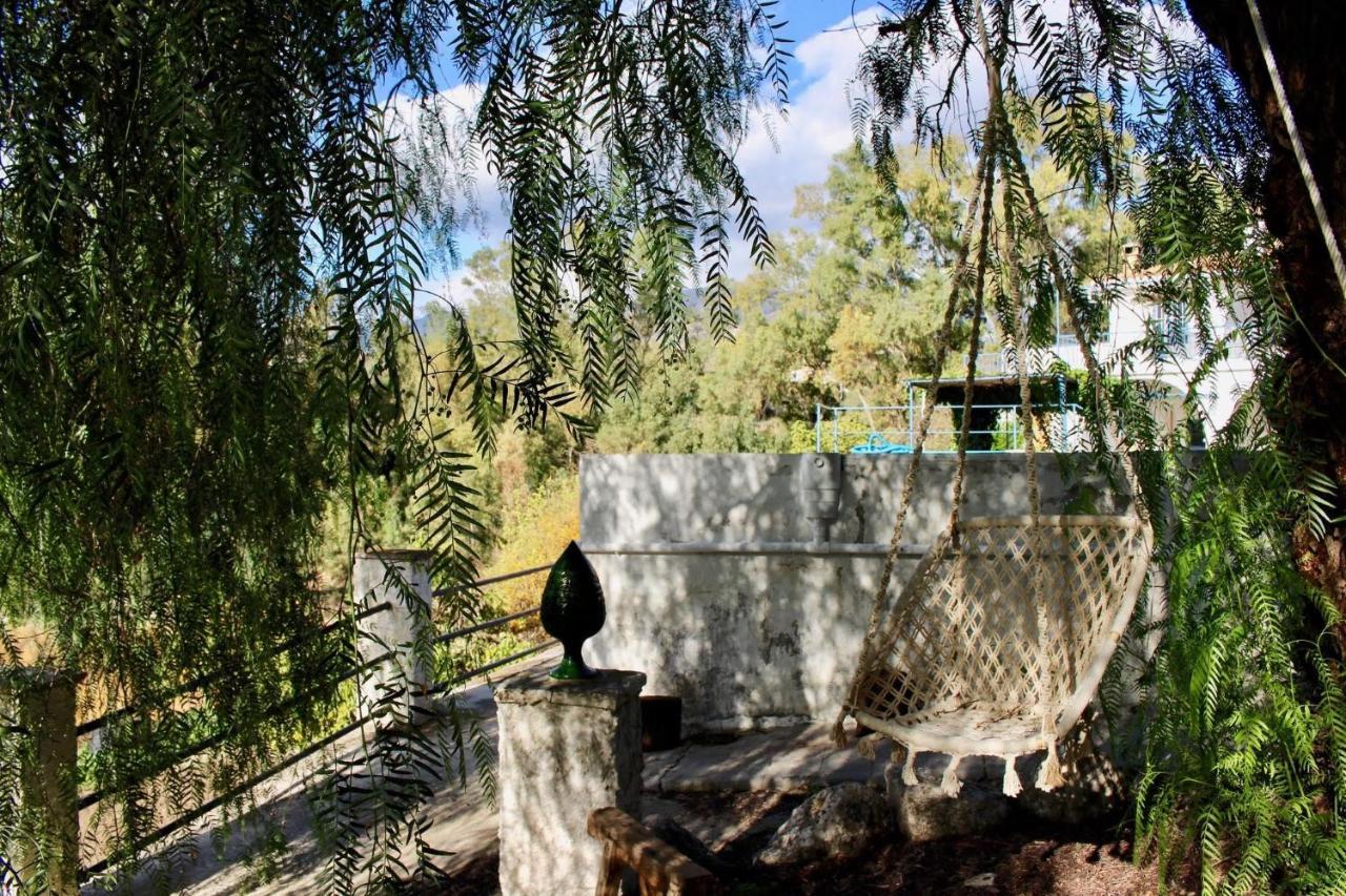 Гостевой дом Cortijo El Puente Виньуэла Экстерьер фото