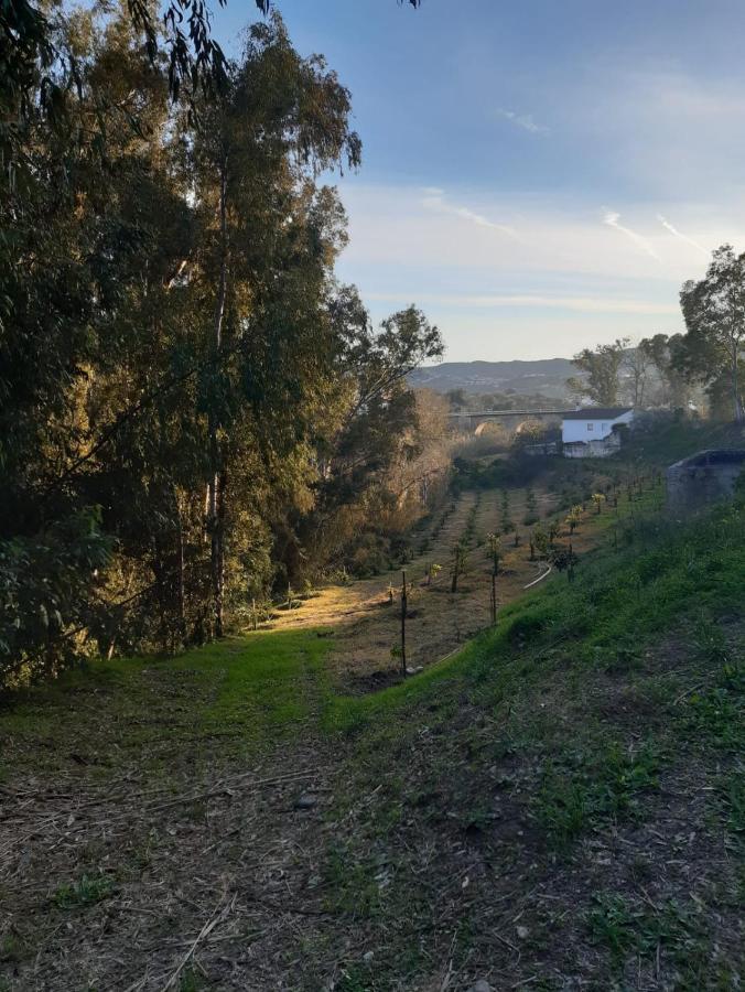 Гостевой дом Cortijo El Puente Виньуэла Экстерьер фото